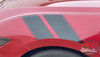 Fender Stripe for Ford Mustang GT/ECO PONY DOUBLE BAR