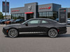 Dodge Charger ROCKER ONE Side Body Door Stripes Vinyl Graphics Decals (2024-2026)