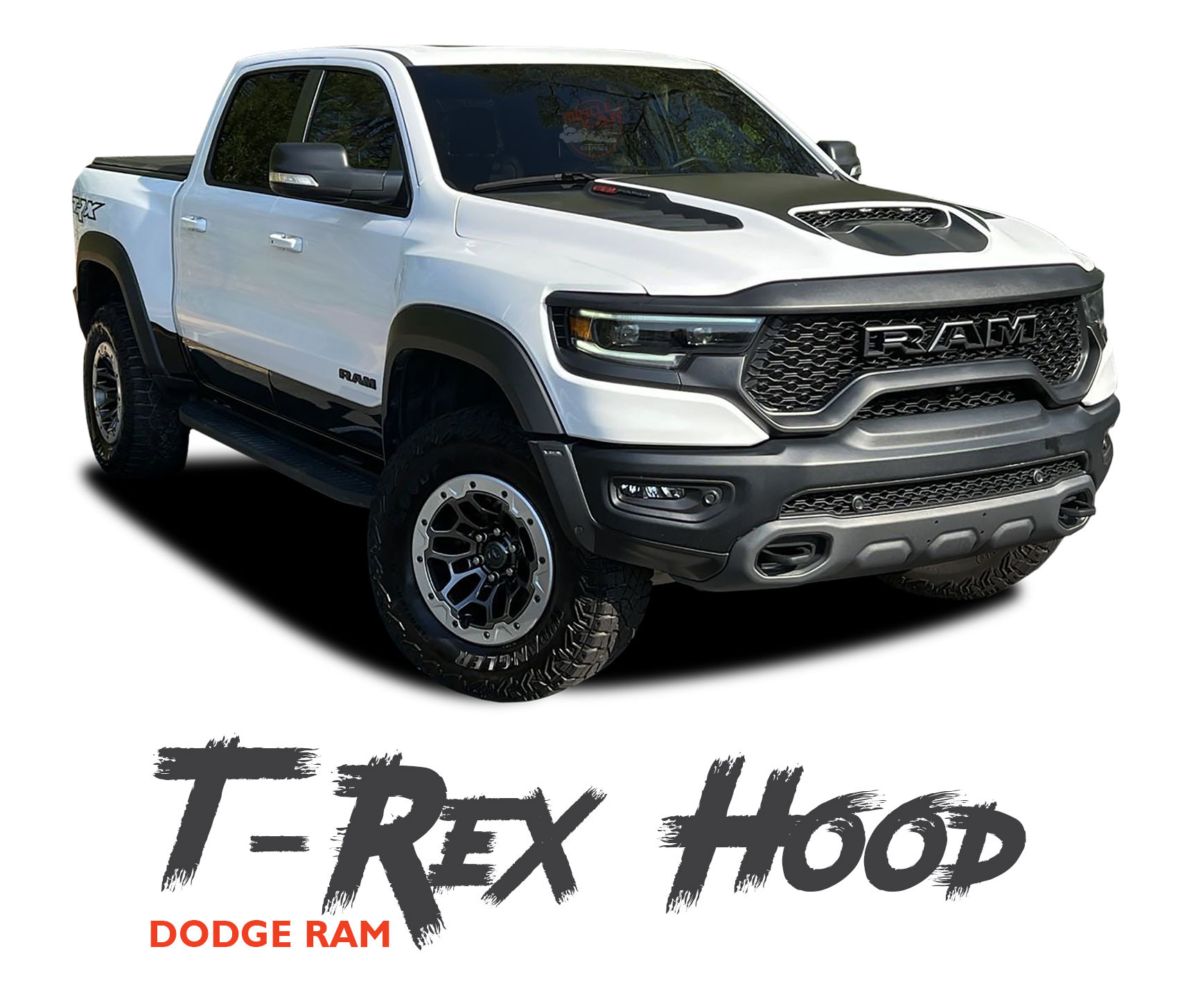 Ram Graphic Robe Dodge Vinyl Graphics, Dodge Stripes, Dodge Decal Kits