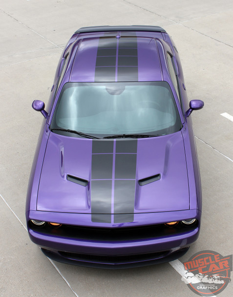 View of 2023 Dodge Challenger Strobe Stripes PULSE RALLY 2008-2023 View of 2023 Dodge Challenger Strobe Stripes PULSE RALLY 2008-2023