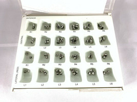 Royal Crown Anterior Kit of 72 Crowns (DSC)