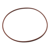 Door Gasket (Seal for Chemiclave E), 4000, 5000 & Aquaclave 10 (MDT #250007801)#2109 (DCI)