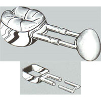 U24 1/2 Space Maintainer Bands, Package of 2.
