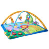 Tiny Love Lights and Music Gymini Activity Gym, Super Deluxe Lights and Music