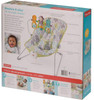 Fisher-Price Baby's Bouncer, Green/Blue/Grey (DTG94)