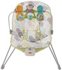 Fisher-Price Baby's Bouncer, Green/Blue/Grey (DTG94)