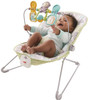 Fisher-Price Baby's Bouncer, Green/Blue/Grey (DTG94)