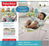 Fisher-Price Baby's Bouncer, Green/Blue/Grey (DTG94)