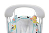 Fisher-Price Deluxe Take-Along Swing & Seat