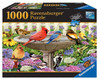 Ravensburger Garden Birds 1000pc Jigsaw Puzzle