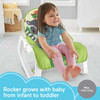 Fisher-Price  Infant-to-Toddler Rocker