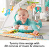 Fisher-Price Safari Music & Lights Gym Tummy Time Playmat with Take-Along Toys for Newborns from Birth and Older