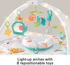 Fisher-Price Safari Music & Lights Gym Tummy Time Playmat with Take-Along Toys for Newborns from Birth and Older