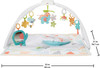 Fisher-Price Safari Music & Lights Gym Tummy Time Playmat with Take-Along Toys for Newborns from Birth and Older