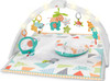 Fisher-Price Safari Music & Lights Gym Tummy Time Playmat with Take-Along Toys for Newborns from Birth and Older