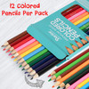 Darice Colored Pencils Bulk, 24 Packs (288 Count) 12 Colors, Pre-Sharpened Kid Coloring Book Pencils Set, Arts & Crafts School Supplies for Kids