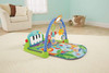 Fisher-Price Kick & Play Piano Gym, Blue/Green