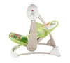 Fisher-Price Take-Along Swing and Seat, Rainforest Friends