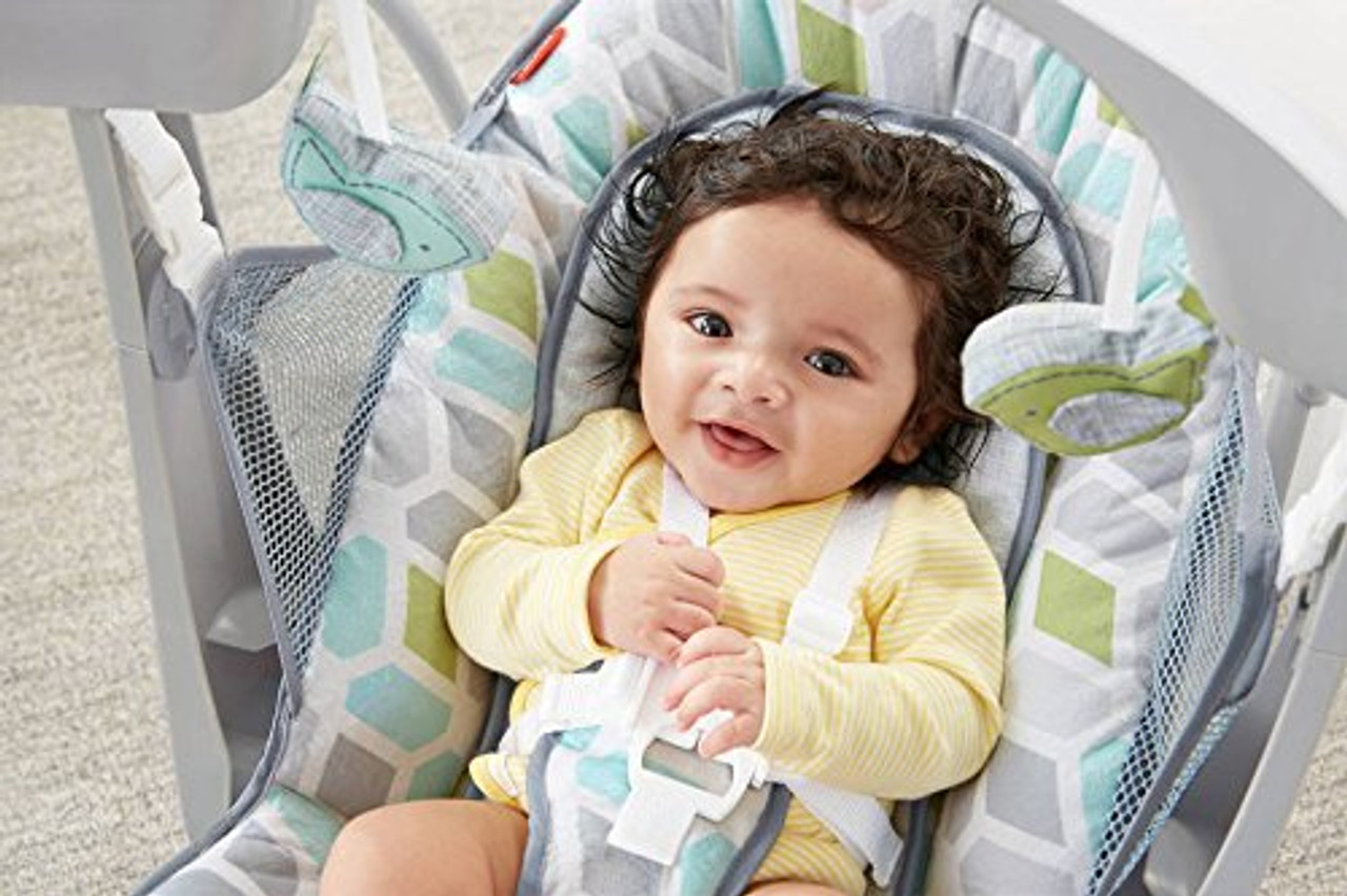 fisher price swing and seat