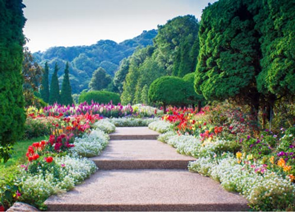 1000 Piece Jigsaw Puzzle Educational Puzzle Family Game Gift for Adults and Kids (Beautiful Garden)