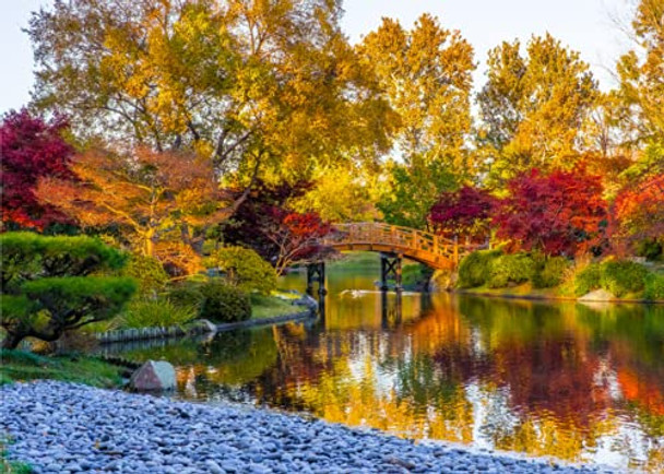 1000 Piece Jigsaw Puzzle Educational Puzzle Family Game Gift for Adults and Kids (Fall Seasoned Trees with Bridge)