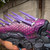 Halo Needler