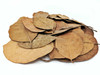 Jackfruit Leaf Litter