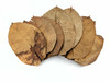 Colombian Rubber Tree Leaf Litter