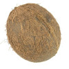 Whole Coconut with 1" Hole