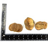 Velvet Nut Pod