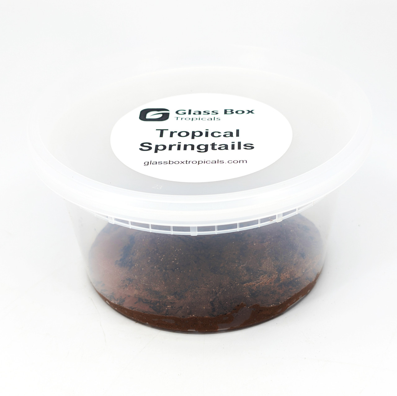 Tropical Springtail Culture - GLASS BOX TROPICALS