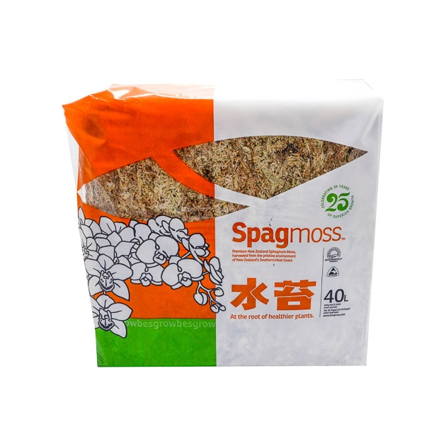 500g Long Fiber New Zealand Sphagnum Moss - Spagmoss - GLASS BOX