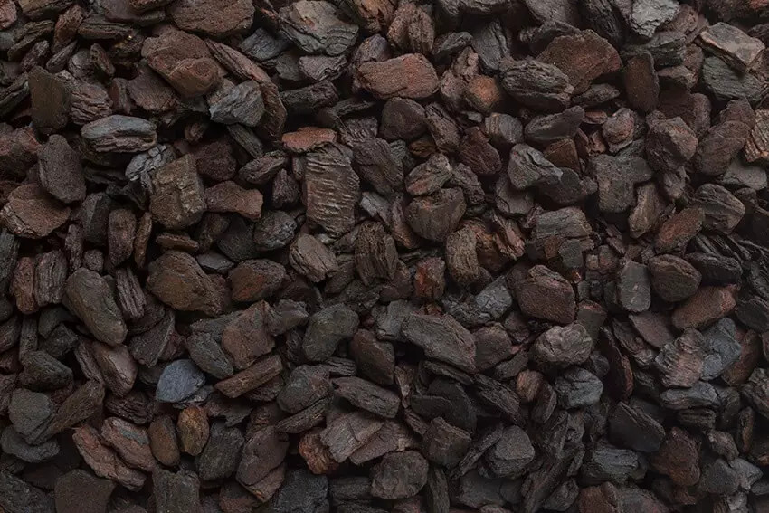 Orchiata Fir Bark