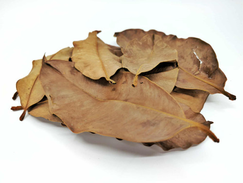 Mangoosteen Leaf Litter