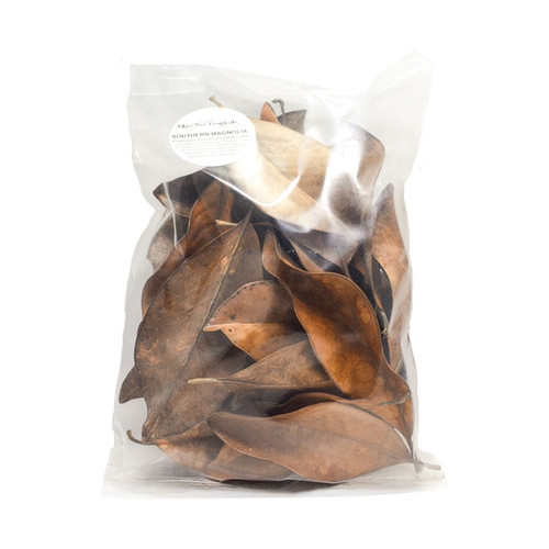 Premium Southern Magnolia Leaf Litter