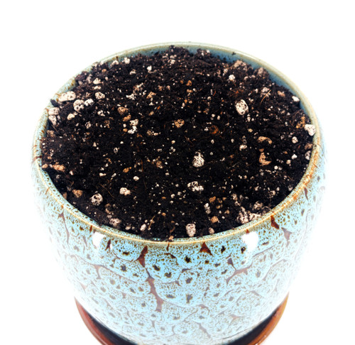 Habitat Supplies - Substrates - Page 1 - GLASS BOX TROPICALS