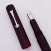PSPW Prototype Fountain Pen - Purple w Iridescence, Clip Model, JoWo #6 Nibs