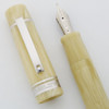 Delta New Gallery Tech & Web Fountain Pen - Ivory, Matte Band, Steel Broad Nib (Near Mint in Box, Works Well)