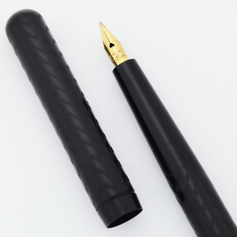 Apollo Fountain Pen - BCHR Eye Dropper, 14k Fine Full Flex Nib (Excellent, Works Well)