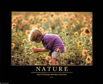 Nature Art Poster