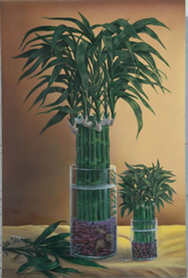 Lucky Bamboo II Art Print - David Gunter