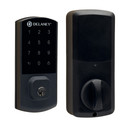 Delaney Nexus Smart Lock