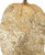 Momentus Gold Nugget Lamp
