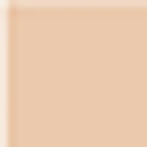 Brushmarker PRO Rose Wood 272