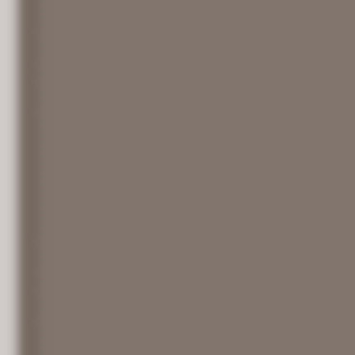 Brushmarker PRO Warm Grey 3.276