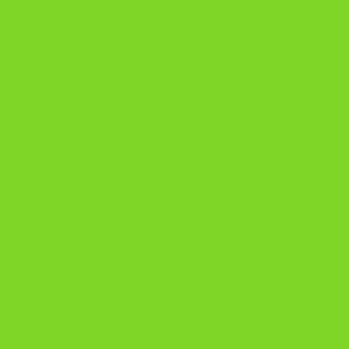 Brushmarker Pro Neon Light Green 6110