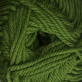  Fiddlesticks Peppin 8ply Mint 861