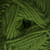  Fiddlesticks Peppin 8ply Mint 861