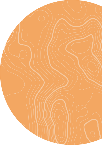 Orange Circle Graphic