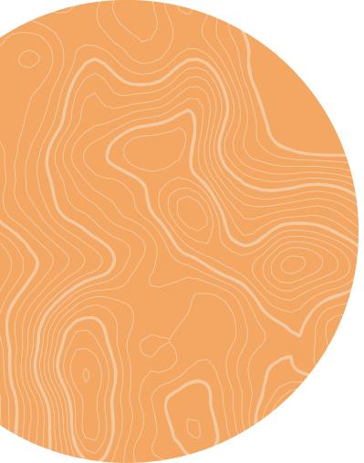 Orange Circle Graphic